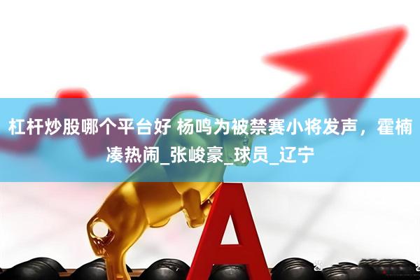 杠杆炒股哪个平台好 杨鸣为被禁赛小将发声，霍楠凑热闹_张峻豪_球员_辽宁