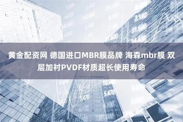黄金配资网 德国进口MBR膜品牌 海森mbr膜 双层加衬PVDF材质超长使用寿命